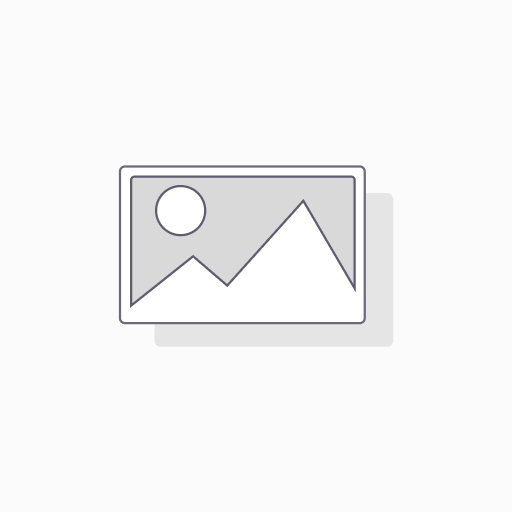 [HFAV1] HORNO PIZZERO IGLOO L.N., 1 CHAROLA. PIEDRA VOLCANICA